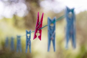 Ein anomaler Pflock auf einer Wäscheleine - Der Außenseiter von Pieter van Dieren (pidi.photo)