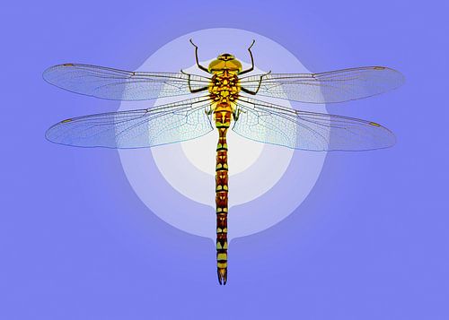 Dragonfly