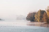 herfstbomen langs het meer van Tania Perneel thumbnail