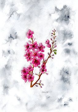 Fleur de cerisier sur Sandra Steinke