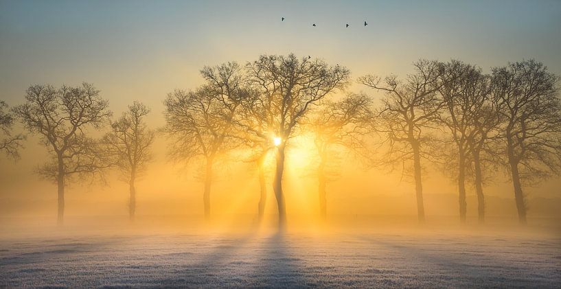Sunrise by Stefan Lok