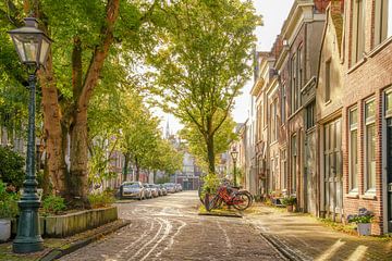 Leiden at its most beautiful! by Dirk van Egmond