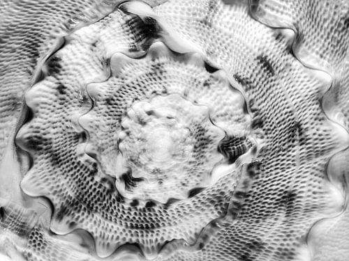 Abstrakter Hintergrund mit spiralförmigen Muscheln in Schwarz-Weiß von AS Photography