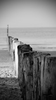 Vers l'horizon