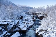 Snelstromende rivier in berglandschap met besneeuwde bomen van Karla Leeftink thumbnail