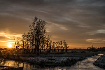 De Wieden van Robert Snoek