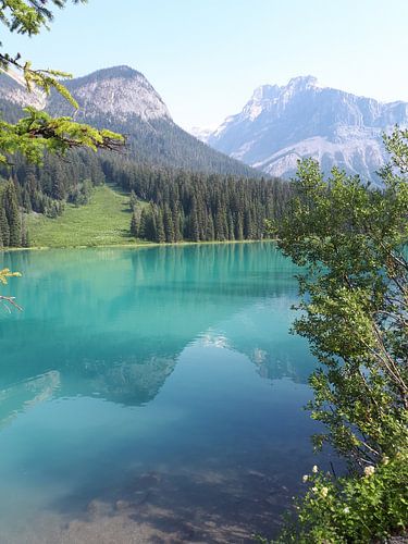 Bow lake in the beautiful Canadian Rocky mountains