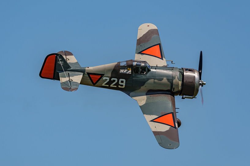 Vorbeiflug der Fokker D-XXI 229 auf dem Flugplatz Hoogeveen. von Jaap van den Berg