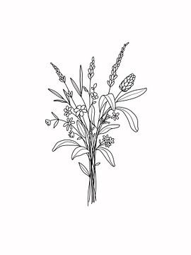 Illustration of grass and clover varieties by KPstudio