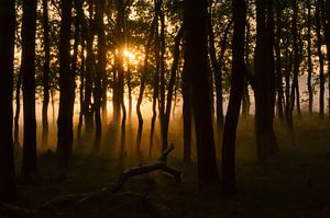 Sonnenaufgang im Herbst