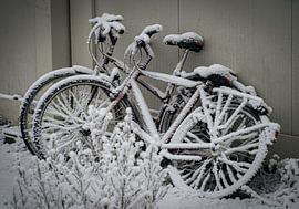 An invitation to silence by Horst Dreisbach