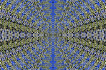 Nature's fractal pattern by Daniel Dorst