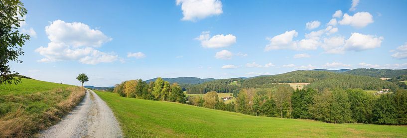 walkway in the surrounding of viechtach, tourist resort bavarian by SusaZoom