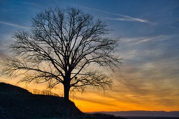 winterabend von Tanja Voigt