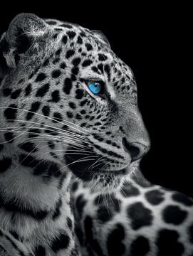 Panther mit blauen Augen von Designer