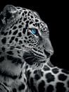 Panther mit blauen Augen von Designer Miniaturansicht
