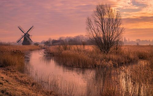 Ochtendgloren bij de Noordermolen