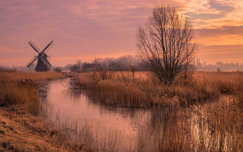 Morning glow by Marga Vroom