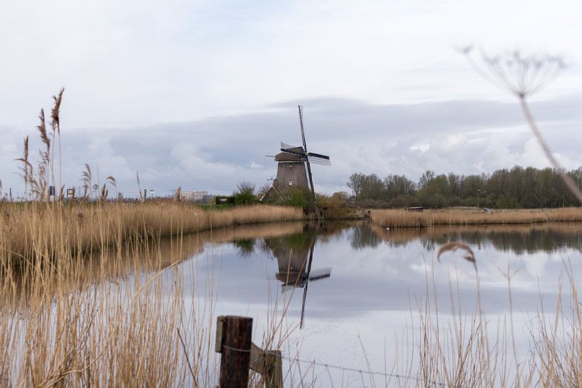 Twiskemolen van Jaap Mulder