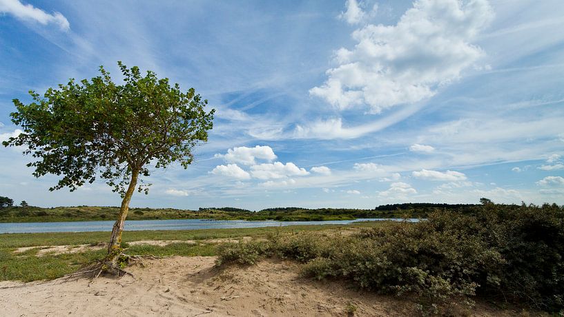 Tegenwind van Robert Smink