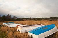 Bootjes in het riet