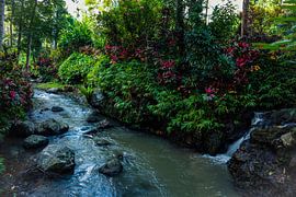 Peaceful garden with a small river by Wesley Klijnstra