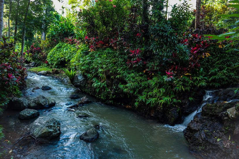 Ruhiger Garten mit einem kleinen Fluss von Wesley Klijnstra