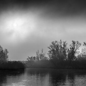 The sun is still visible before the fog completely closes in by Wildfotografie NL
