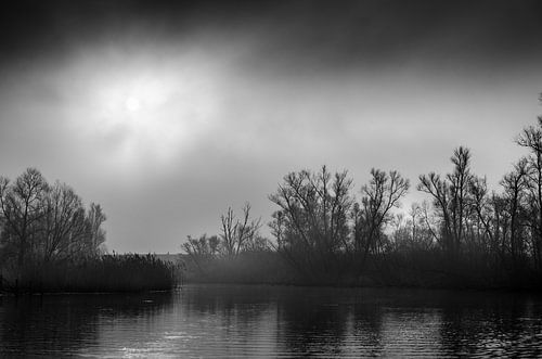 De zon is nog zichtbaar alvorens het helemaal dicht trekt van Wildfotografie NL