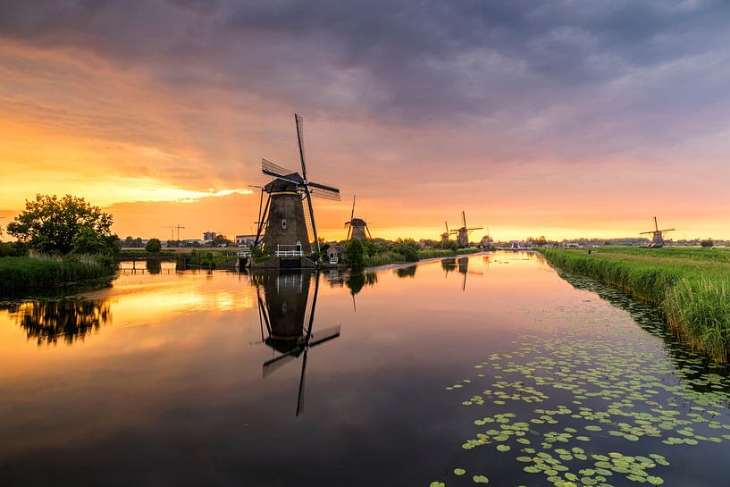 Harps by Jan Koppelaar