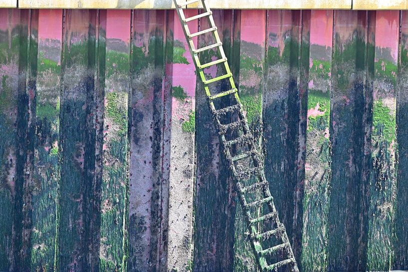 Ladder by Petra De Jonge