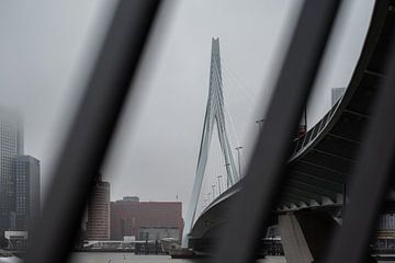 Rotterdam in the rain