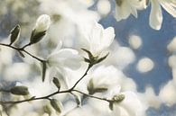 Fröhlicher Blütenzweig von Lars van de Goor Miniaturansicht