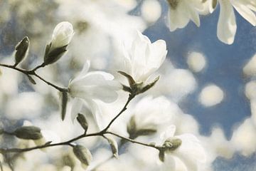 Fröhlicher Blütenzweig von Lars van de Goor