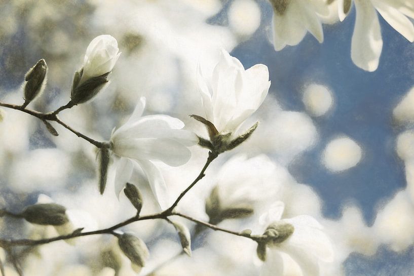 Fröhlicher Blütenzweig von Lars van de Goor