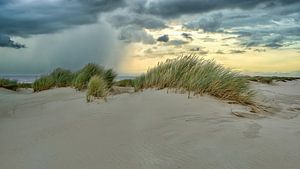 Paysage de dunes avec de l'ammophile et la mer du Nord sur eric van der eijk