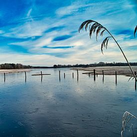 Winter in nederland van janus van Limpt