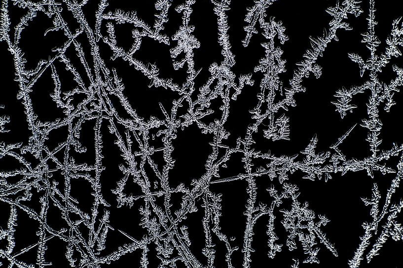 ice-art ice-crystals sur Klaartje Majoor