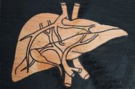 Liver (2/3) by hou2use thumbnail