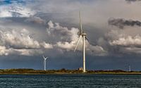 windmills