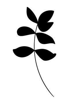 Botanische basis. Zwart-wit tekening van eenvoudige bladeren nr. 5 van Dina Dankers