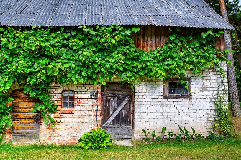 The wall of vintage house by Yevgen Belich