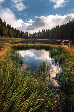 An autumn morning in the Dolomites by Daniel Gastager