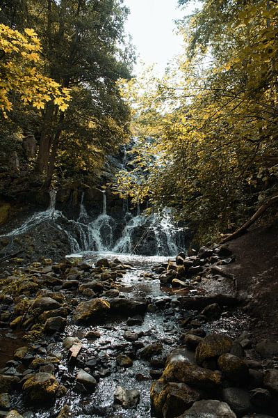 Kleine waterval in het bos met mos op stenen van Martin Köbsch