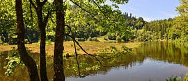 Der Nonnenmattweiher im Schwarzwald von Ingo Laue