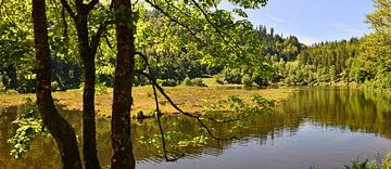 The Nonnenmatt Pond in the Black Forest by Ingo Laue