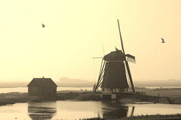 Molen op Texel van Marfa