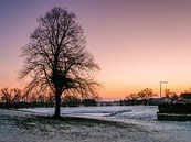 Eenzame boom in een winterlandschap van Cynthia Bil thumbnail