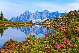 The Dachstein is reflected in the mirror lake by Christa Kramer
