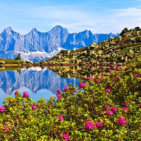 De Dachstein wordt weerspiegeld in het spiegelmeer van Christa Kramer